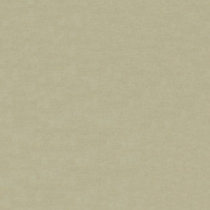 Pique 601 Oyster by ABBEYSHEA Fabric