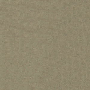 Pique 608 Stucco by ABBEYSHEA Fabric