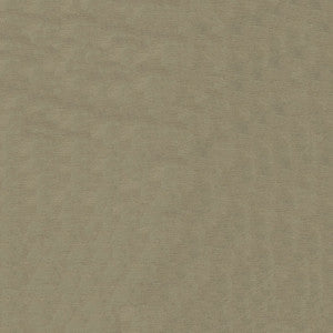 Pique 608 Stucco by ABBEYSHEA Fabric