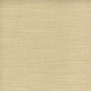 Intro Canvas 046 by Norbar Fabric AGRA 100% POLYESTER CHINA 50,000 WYZENBEEK </p><p>Repeat: 55 - Fabric Carolina -