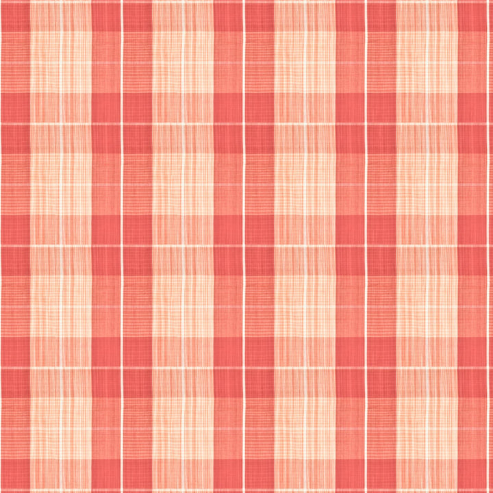 Invade 1 Punch by Stout Fabric COMFORTABLE LIVING BLUSH/GINGER 100%COT INDIA FLAME RETARDANT-CA BULLETIN 117-SECTION E WYZENBEEK 9 000 DOUBLE RUB WEAR TEST (MEDIUM DUTY) Horizontal: 13.5 and Vertical: 13.5 54 in - Fabric Carolina -