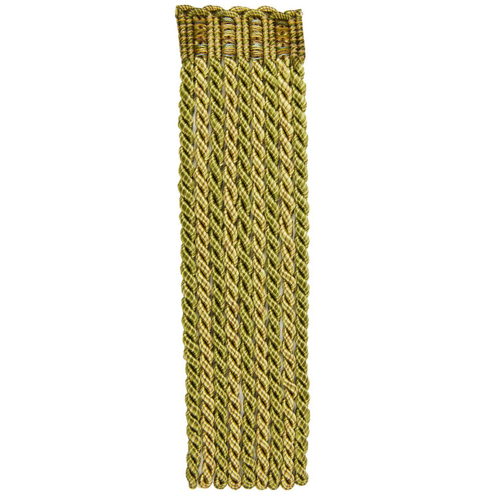 Inverness 4 Tarragon by Stout Trim MYSTIQUE TRIM 52%SVI 48%COT CHINA Horizontal: 0 and Vertical: 0 8 in - Fabric Carolina -