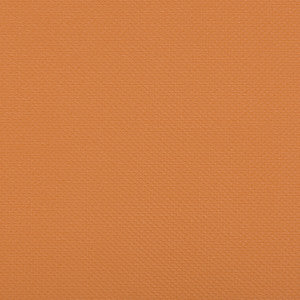 Iron Man Tiger by Kravet Contract Fabric