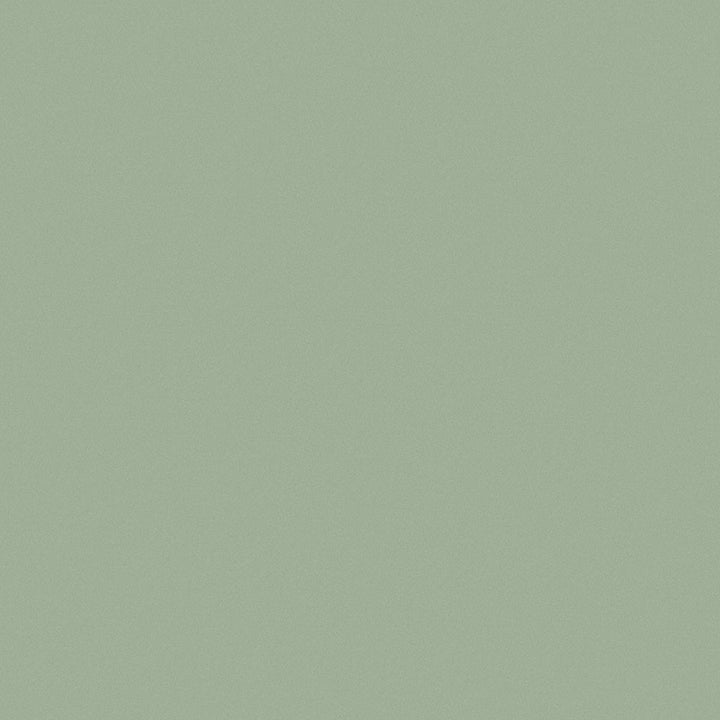 Enthusiasm 205 Sage by ABBEYSHEA Fabric N/A 100% Polyester China </p><p>Repeat: Horizontal: and Vertical: 57" (144 cm) - Fabric Carolina -