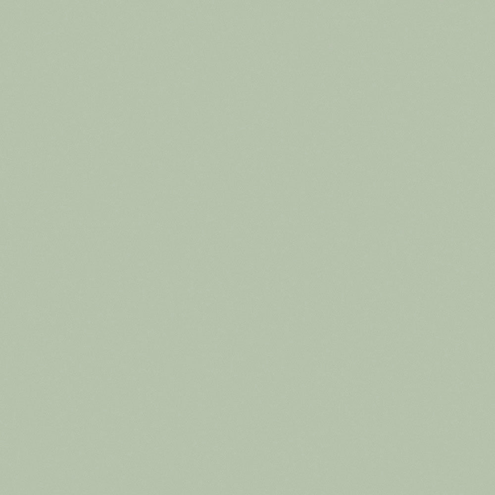 Enthusiasm 21 Leaf Green by ABBEYSHEA Fabric N/A 100% Polyester China </p><p>Repeat: Horizontal: and Vertical: 57" (144 cm) - Fabric Carolina -