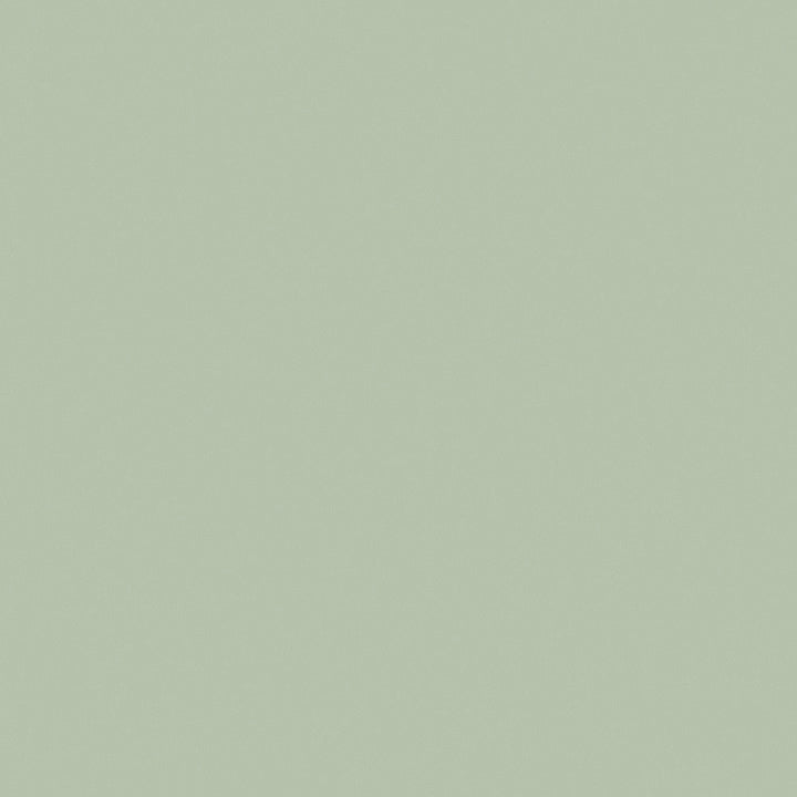 Enthusiasm 21 Leaf Green by ABBEYSHEA Fabric N/A 100% Polyester China </p><p>Repeat: Horizontal: and Vertical: 57" (144 cm) - Fabric Carolina -