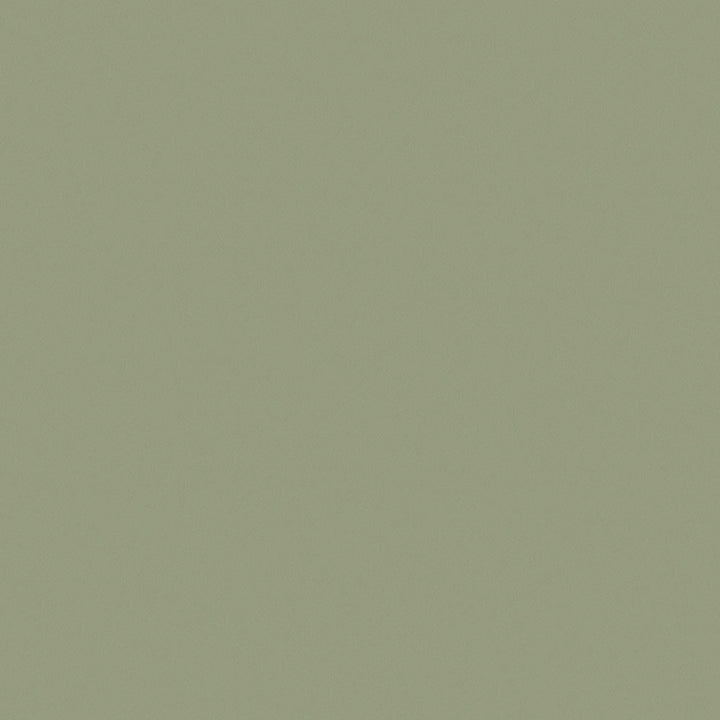 Enthusiasm 27 Olive by ABBEYSHEA Fabric N/A 100% Polyester China </p><p>Repeat: Horizontal: and Vertical: 57" (144 cm) - Fabric Carolina -