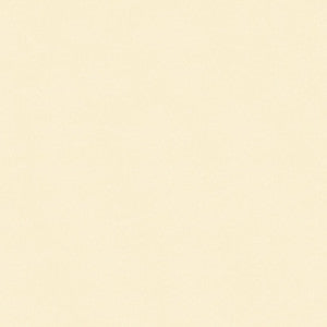Islander 9179 Titan Neutral by Softside Fabric
