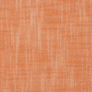 Insideout Frances Citrus by Magnolia Fabric