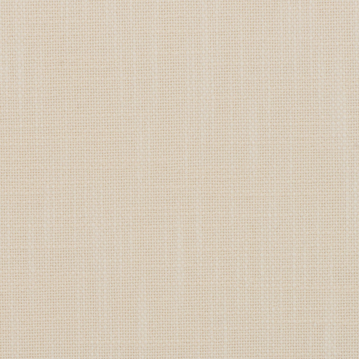 Insideout Frances Lace by Magnolia Fabric - 100% Poly (Uv) Usa 50,000+ Horizontal: 0.063 and Vertical: 0.063 55.5 - Fabric Carolina -