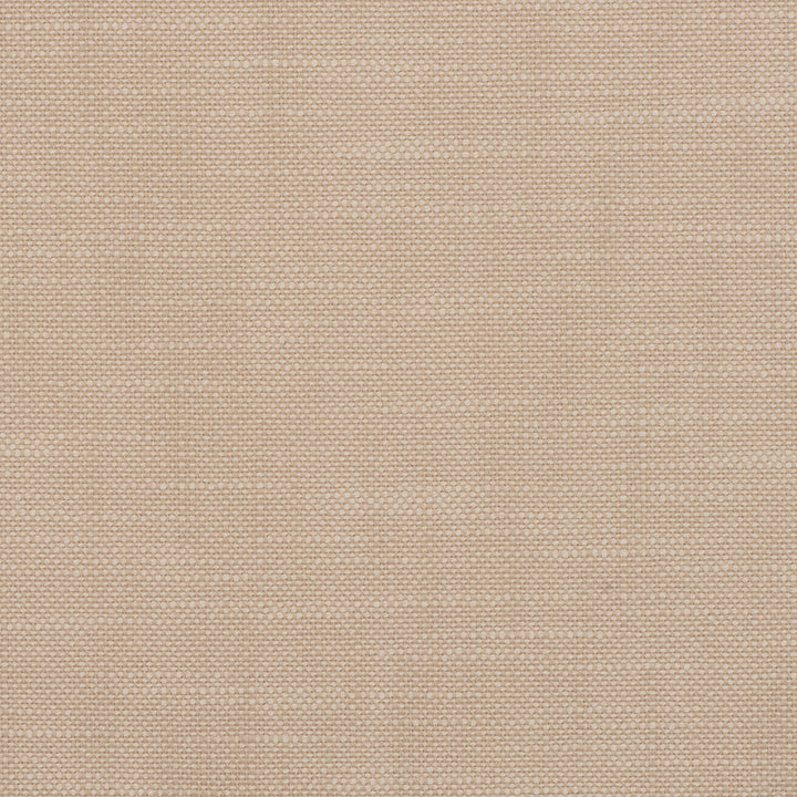 Insideout Frances Latte by Magnolia Fabric - 100% Poly (Uv) Usa 50,000+ Horizontal: 0.063 and Vertical: 0.063 55.5 - Fabric Carolina -