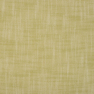Insideout Frances Palm by Magnolia Fabric