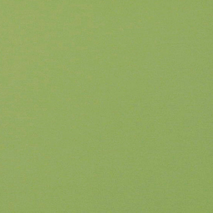 Jackpot # 13 Sprout by Maxwell Fabric 100% COTTON INDIA </p><p>Repeat: Horizontal: and Vertical: 54/55" - Fabric Carolina -