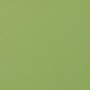Jackpot # 13 Sprout by Maxwell Fabric