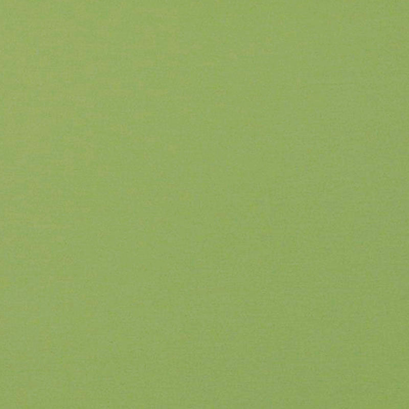 Jackpot # 13 Sprout by Maxwell Fabric 100% COTTON INDIA </p><p>Repeat: Horizontal: and Vertical: 54/55" - Fabric Carolina -