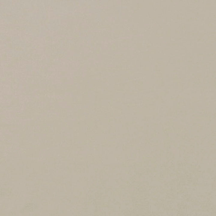 Jackpot # 18 Pebble by Maxwell Fabric 100% COTTON INDIA </p><p>Repeat: Horizontal: and Vertical: 54/55" - Fabric Carolina -