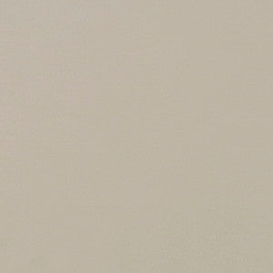 Jackpot # 18 Pebble by Maxwell Fabric
