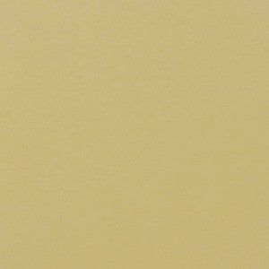 Jackpot # 41 Raffia by Maxwell Fabric