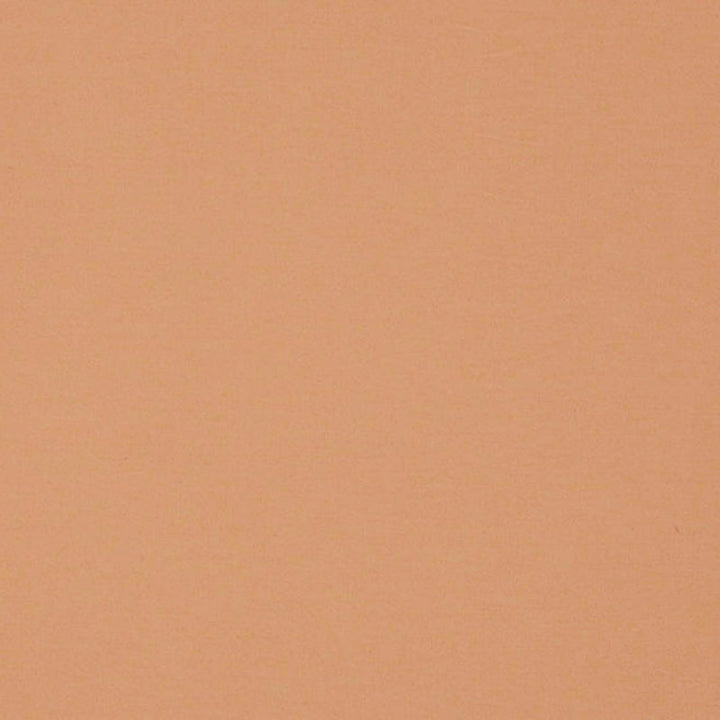 Jackpot # 50 Adobe by Maxwell Fabric 100% COTTON INDIA </p><p>Repeat: Horizontal: and Vertical: 54/55" - Fabric Carolina -