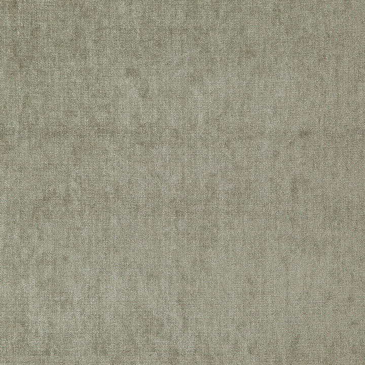 Joey # 3725 Chinchilla by Maxwell Fabric CURLED UP III 100% POLYESTER INDIA See sample </p><p>Repeat: Horizontal: and Vertical: 54.3" - Fabric Carolina -