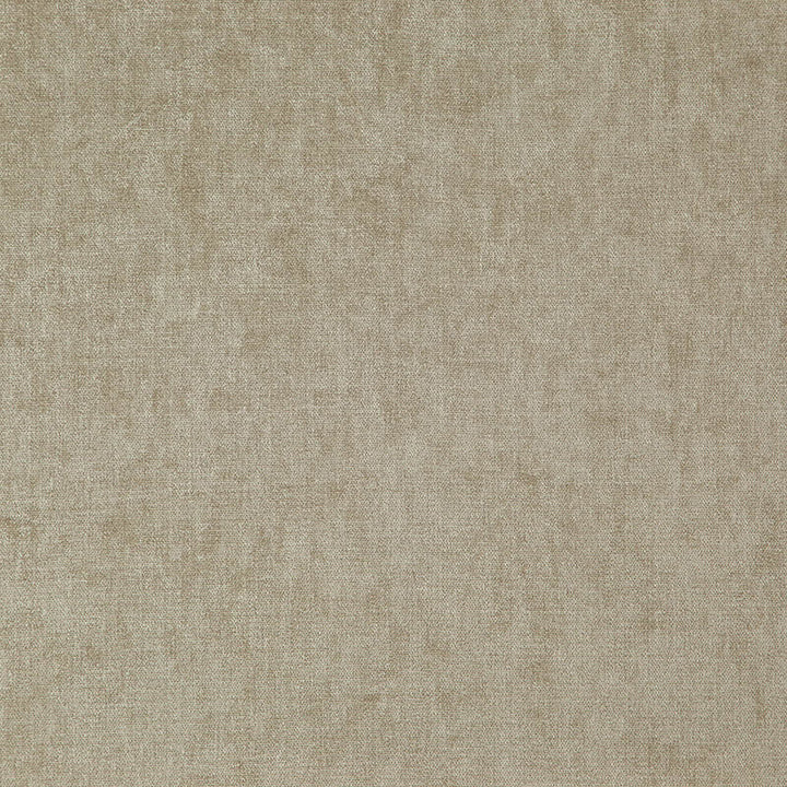 Joey # 4024 Sesame by Maxwell Fabric CURLED UP III 100% POLYESTER INDIA See sample </p><p>Repeat: Horizontal: and Vertical: 54.3" - Fabric Carolina -