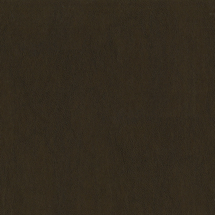 Jackson # 606 Umber by Maxwell Designer Fabric Jackson FACE: 100% PVC
BACKING: 100% POLYESTER CHINA 55" - Swanky Fabrics -