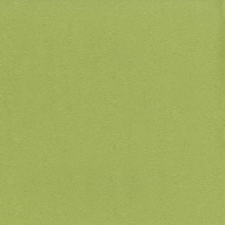 Jackson # 615 Aloe by Maxwell Fabric Jackson FACE: 100% PVC
BACKING: 100% POLYESTER CHINA 55" - Fabric Carolina -