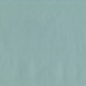 Jackson # 616 Powder by Maxwell Fabric