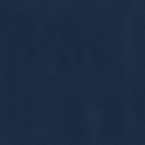 Jackson # 620 Night by Maxwell Fabric
