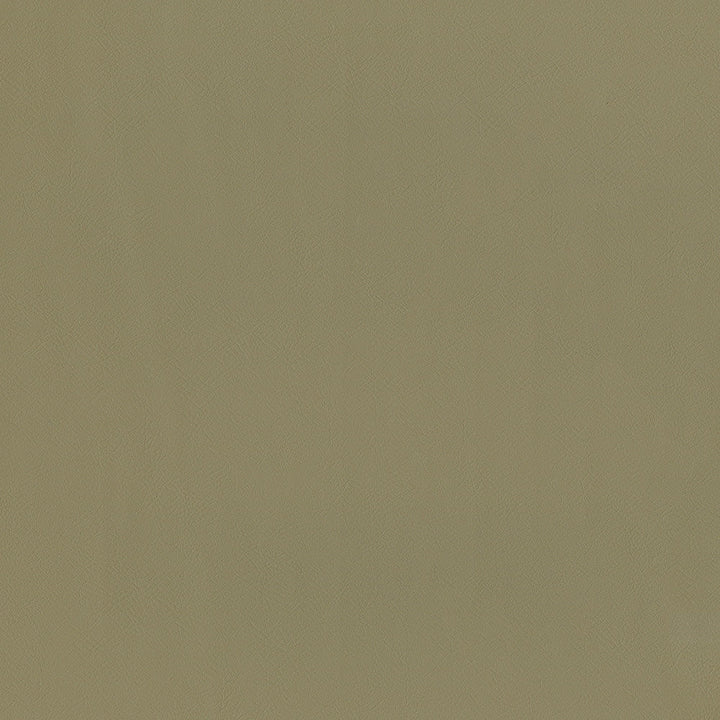 Jackson # 627 Tiramisu by Maxwell Designer Fabric Jackson FACE: 100% PVC
BACKING: 100% POLYESTER CHINA 55" - Swanky Fabrics -