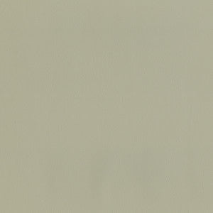 Jackson # 630 Haze by Maxwell Fabric