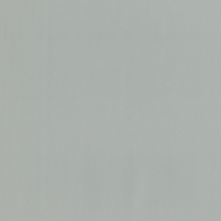 Jackson # 635 Cement by Maxwell Fabric Jackson FACE: 100% PVC
BACKING: 100% POLYESTER CHINA 55" - Fabric Carolina -