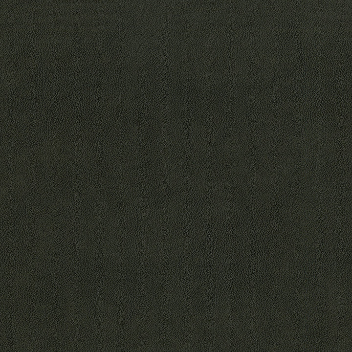 Jackson # 639 Cobra by Maxwell Fabric Jackson FACE: 100% PVC
BACKING: 100% POLYESTER CHINA 55" - Fabric Carolina -