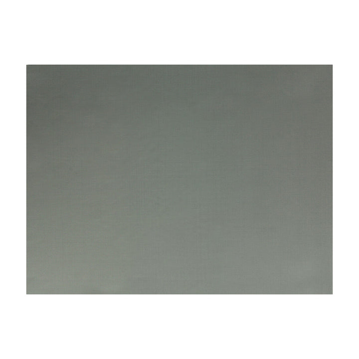 Jour Argento by Brunschwig & Fils Fabric Brunschwig & Fils Fabric Jour ArgentoFabric JAGTAR SILK - 100% Thailand </p><p>Repeat: H: 0, V: 0 48 - Fabric Carolina -
