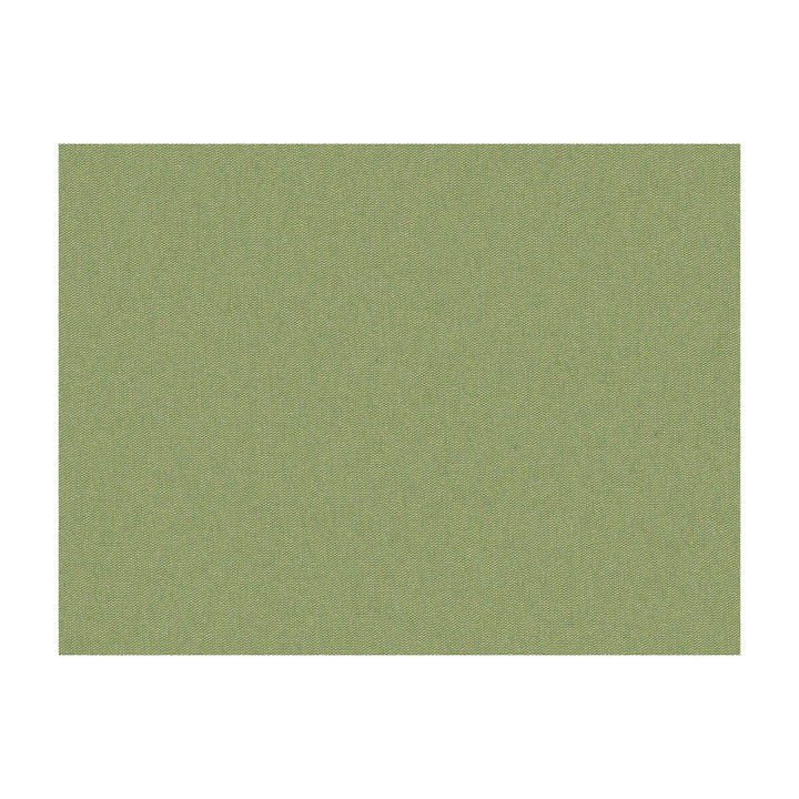 Jour Gabardine by Brunschwig & Fils Fabric Brunschwig & Fils Fabric Jour GabardineFabric JAGTAR SILK - 100% Thailand </p><p>Repeat: H: 0, V: 0 48 - Fabric Carolina -