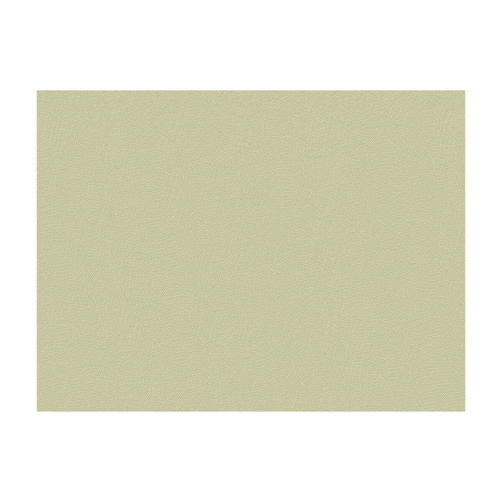 Jour Pewter by Brunschwig & Fils Fabric Brunschwig & Fils Fabric Jour PewterFabric JAGTAR SILK - 100% Thailand </p><p>Repeat: H: 0, V: 0 48 - Fabric Carolina -