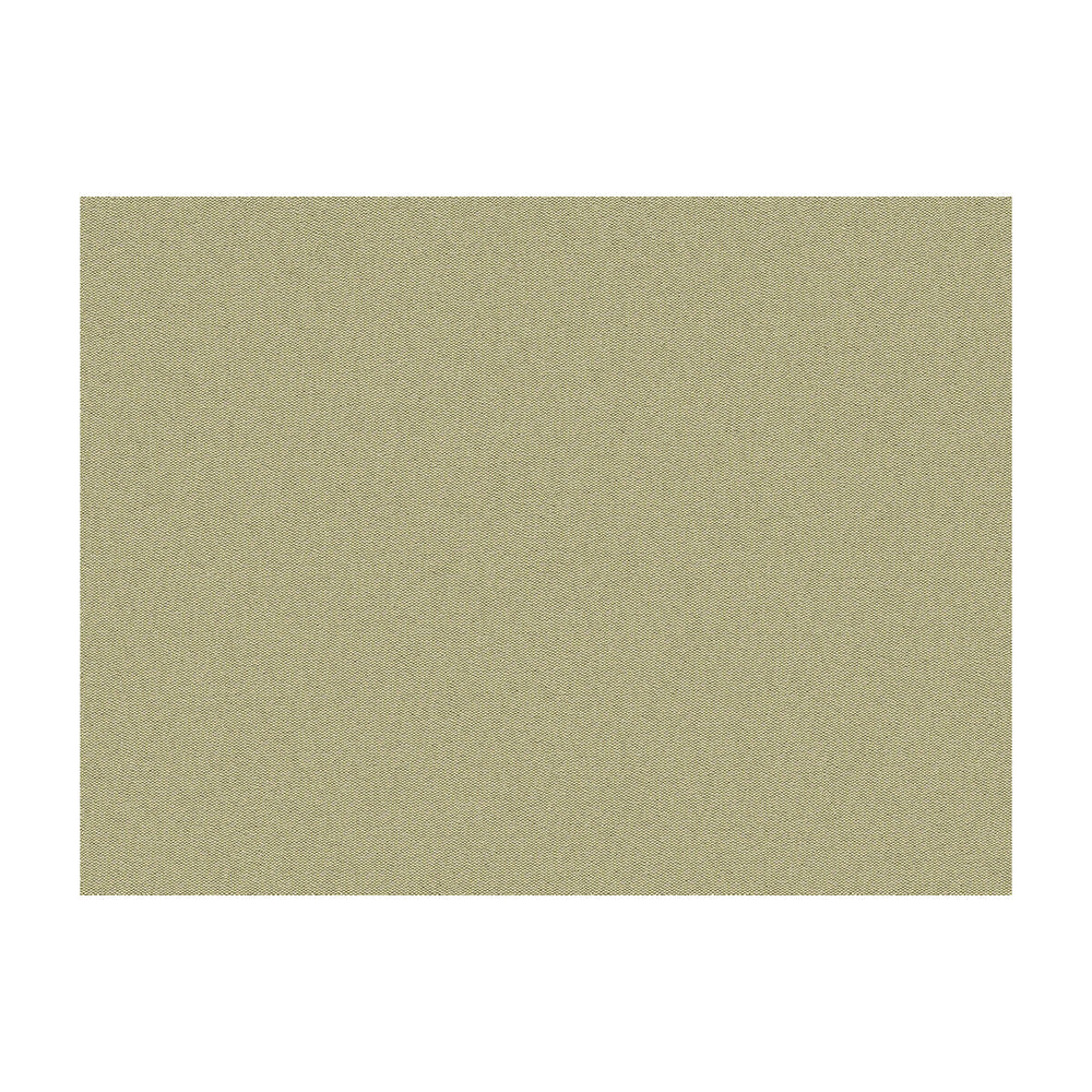 Jour Bronzio by Brunschwig & Fils Fabric Brunschwig & Fils Fabric Jour BronzioFabric JAGTAR SILK - 100% Thailand </p><p>Repeat: H: 0, V: 0 48 - Fabric Carolina -