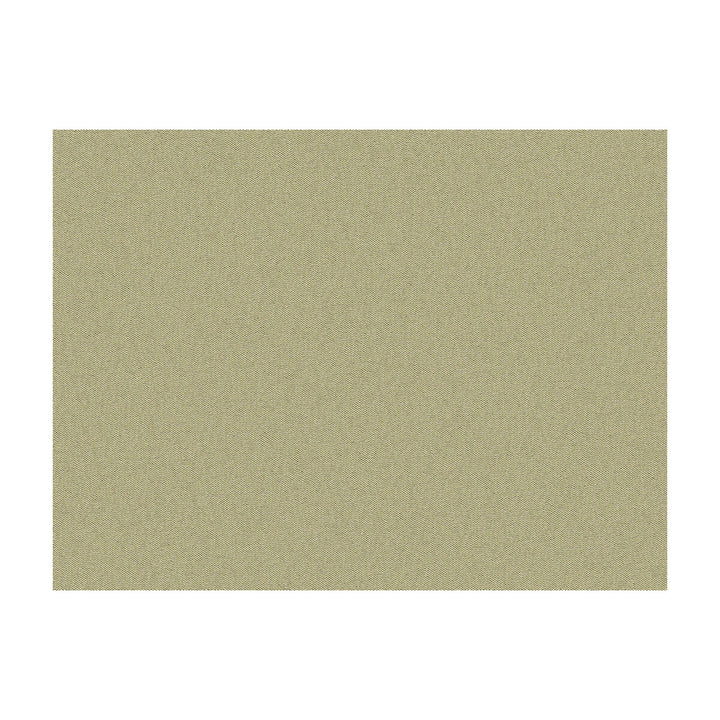 Jour Bronzio by Brunschwig & Fils Fabric Brunschwig & Fils Fabric Jour BronzioFabric JAGTAR SILK - 100% Thailand </p><p>Repeat: H: 0, V: 0 48 - Fabric Carolina -
