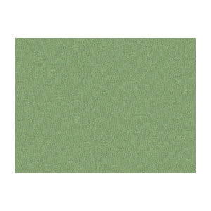 Jour Sage by Brunschwig & Fils Fabric