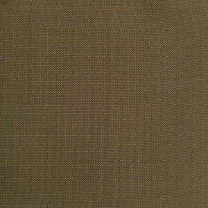 Jour Khaki by Brunschwig & Fils Fabric