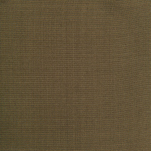 Jour Khaki by Brunschwig & Fils Fabric