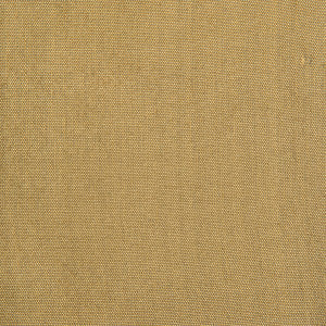 Jour Dorato by Brunschwig & Fils Fabric