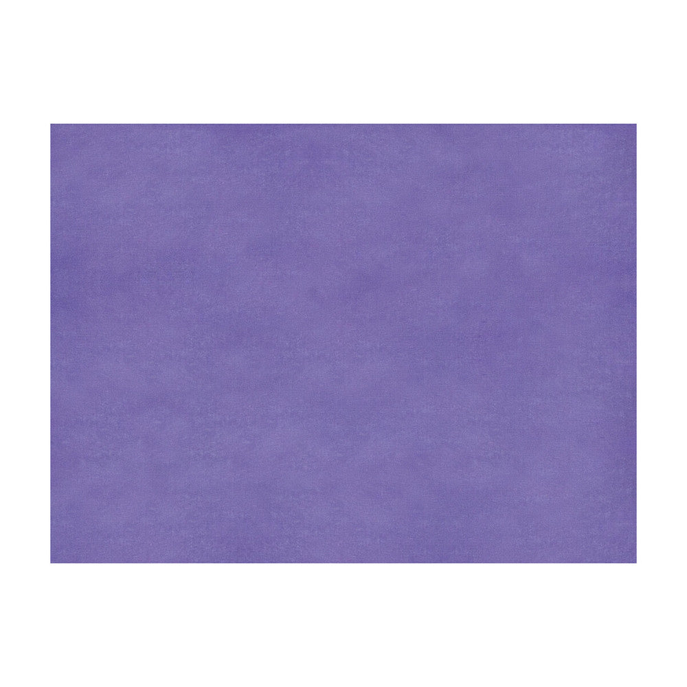 Sukhothai Regal Orchid by Brunschwig & Fils Fabric Brunschwig & Fils Fabric Sukhothai Regal OrchidFabric JAGTAR SILK - 100% Thailand </p><p>Repeat: H: 0, V: 0 55 - Fabric Carolina -