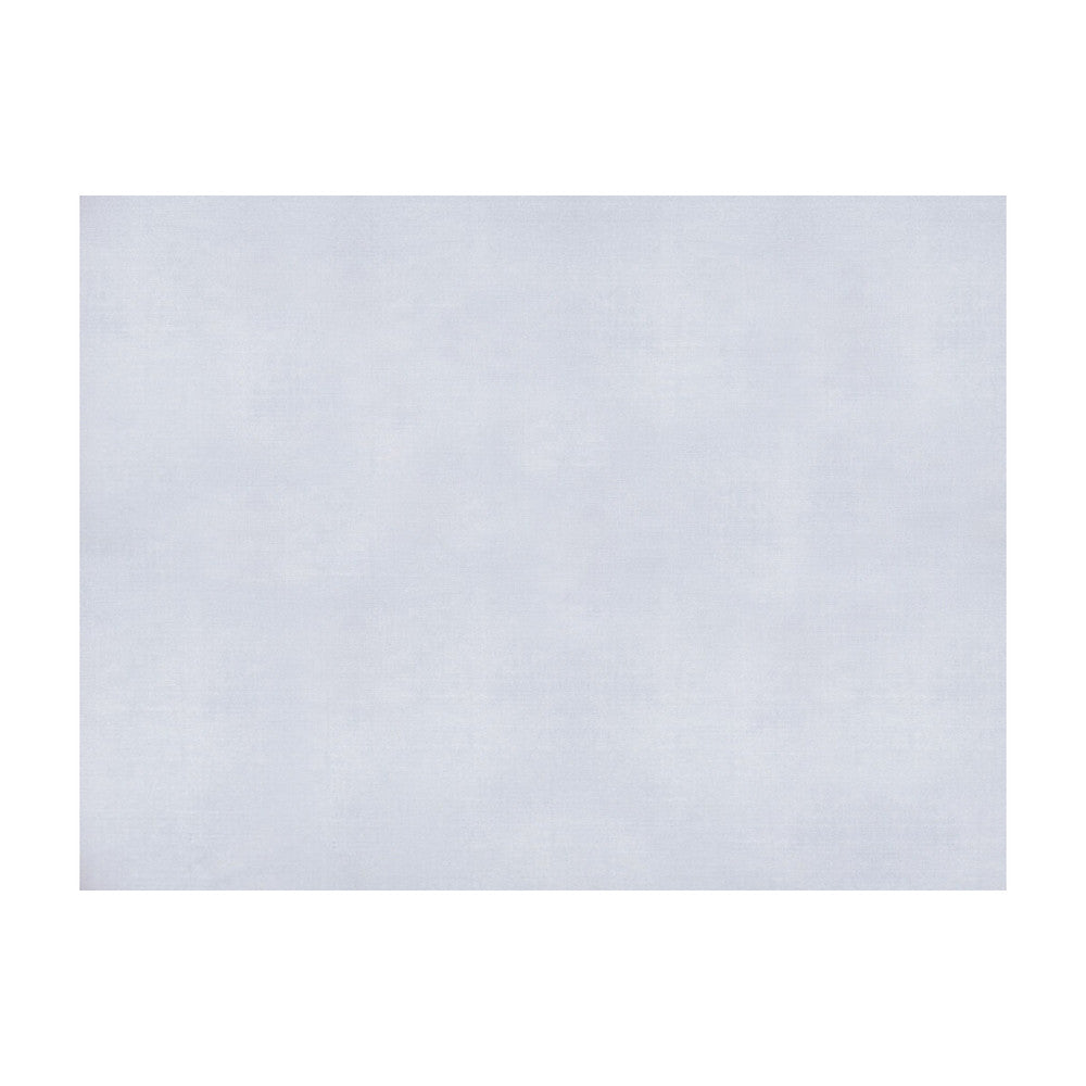 Sukhothai White by Brunschwig & Fils Fabric Brunschwig & Fils Fabric Sukhothai WhiteFabric JAGTAR SILK - 100% Thailand </p><p>Repeat: H: 0, V: 0 55 - Fabric Carolina -