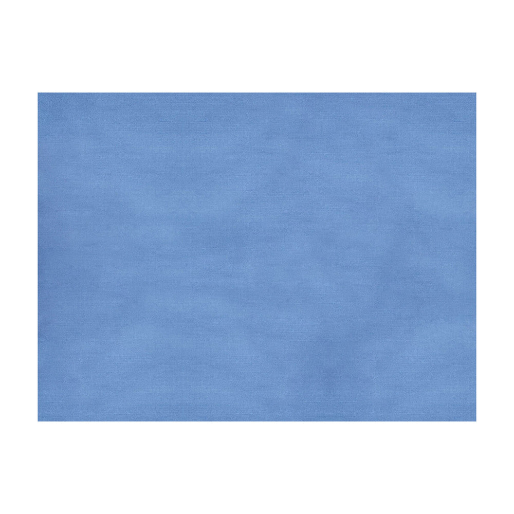 Sukhothai Dream Blue by Brunschwig & Fils Fabric Brunschwig & Fils Fabric Sukhothai Dream BlueFabric JAGTAR SILK - 100% Thailand </p><p>Repeat: H: 0, V: 0 55 - Fabric Carolina -