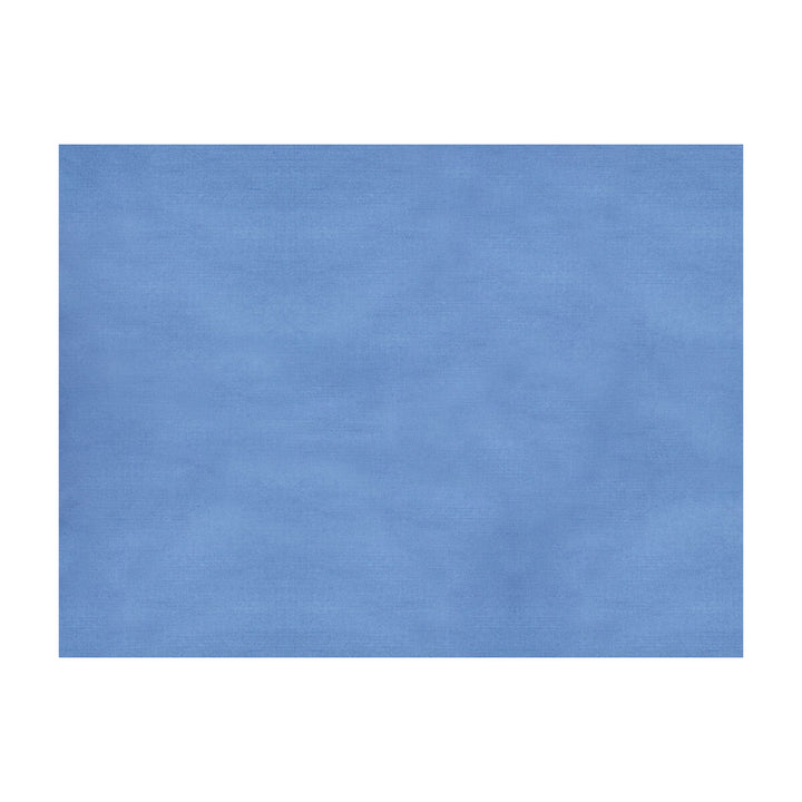 Sukhothai Dream Blue by Brunschwig & Fils Fabric Brunschwig & Fils Fabric Sukhothai Dream BlueFabric JAGTAR SILK - 100% Thailand </p><p>Repeat: H: 0, V: 0 55 - Fabric Carolina -