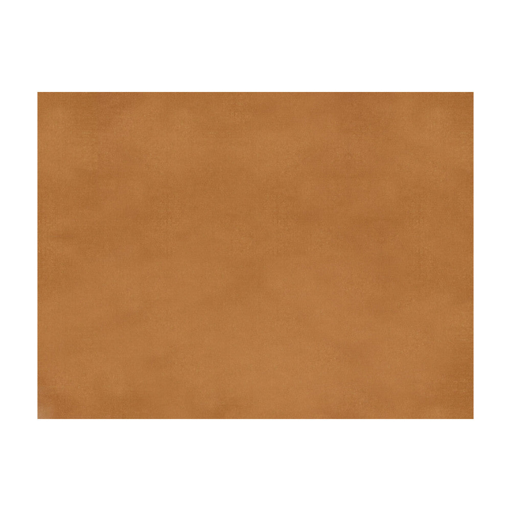 Sukhothai Amber Brown by Brunschwig & Fils Fabric Brunschwig & Fils Fabric Sukhothai Amber BrownFabric JAGTAR SILK - 100% Thailand </p><p>Repeat: H: 0, V: 0 55 - Fabric Carolina -