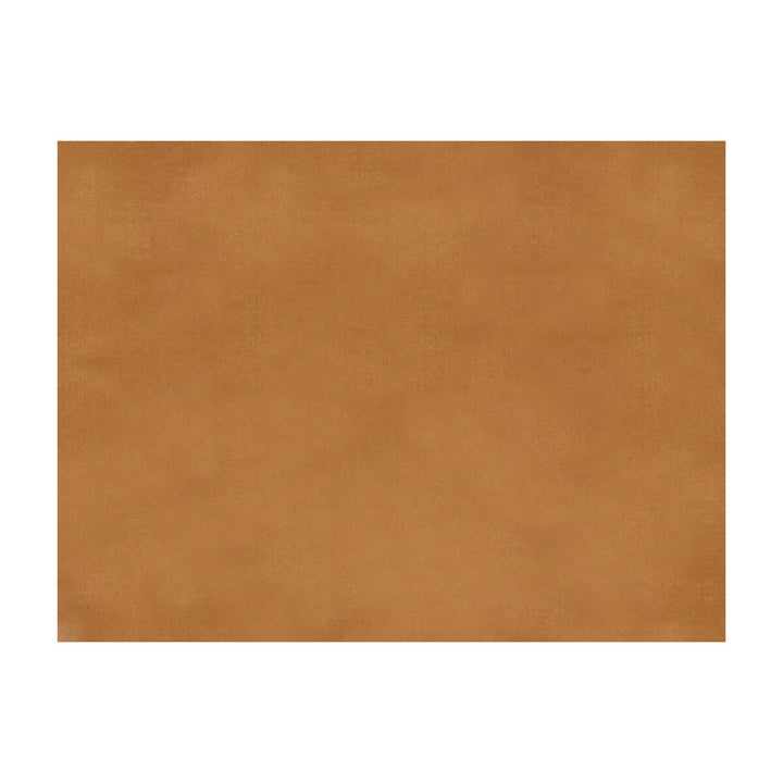 Sukhothai Amber Brown by Brunschwig & Fils Fabric Brunschwig & Fils Fabric Sukhothai Amber BrownFabric JAGTAR SILK - 100% Thailand </p><p>Repeat: H: 0, V: 0 55 - Fabric Carolina -