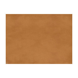 Sukhothai Amber Brown by Brunschwig & Fils Fabric