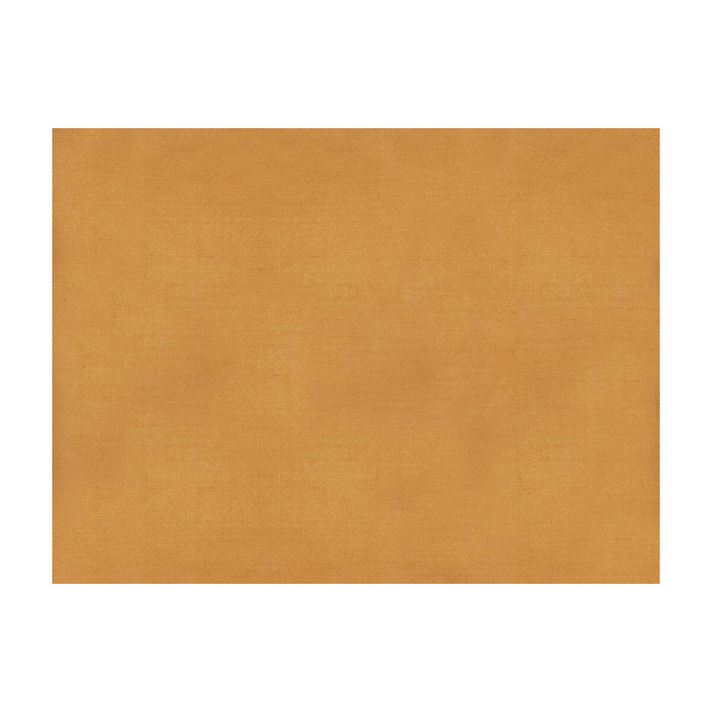 Sukhothai Apricot by Brunschwig & Fils Fabric Brunschwig & Fils Fabric Sukhothai ApricotFabric JAGTAR SILK - 100% Thailand </p><p>Repeat: H: 0, V: 0 55 - Fabric Carolina -
